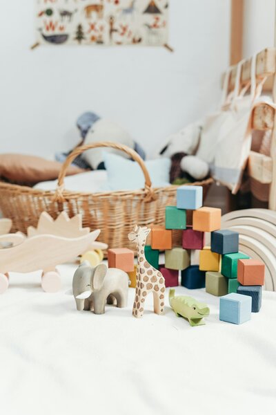 Assortment of colorful wooden blocks and toy animals next to a straw basket
