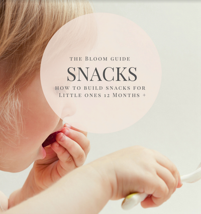 Toddler Snack Guide Cover
