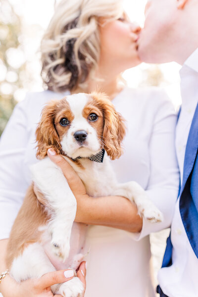 Jennifer B Photography-John and Olivia-Engagement-Weymouth Gardens, Southern Pines, NC-2020-0140