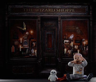Wizard 9 3/4 Months Owl Lightning Keeper Quidditch Snitch Milestone Memories Collector Series