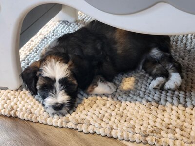 1d82dbbc-b445-4f30-afff-e9fdf4f56afd