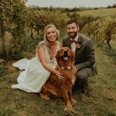 A bride and groom smiling, sitting in a vineyard with their golden retriever wearing a bow tie, perfectly organized by a top Illinois wedding planner.