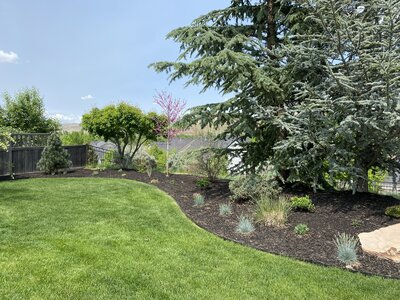 IMG_3821