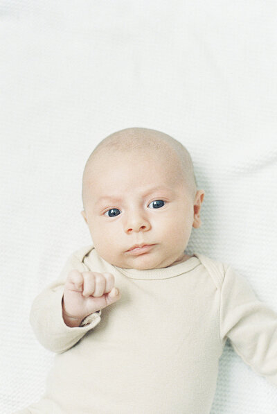 newborn baby swaddled in white