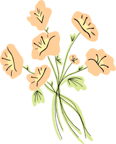 Orange bouquet of flowers
