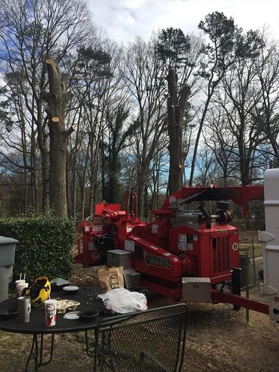 we remove hazardous trees in the mooresville, nc area