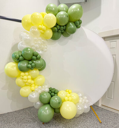 balloons-bismarck-nd-145