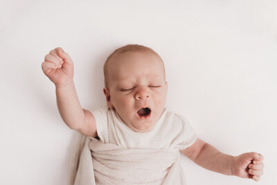 alderinnewbornbismarckstudio-7857