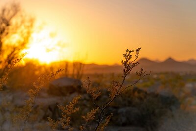 New Mexico Sunrise Over Mountains Dayspring Counseling and Wellness Rio Rancho