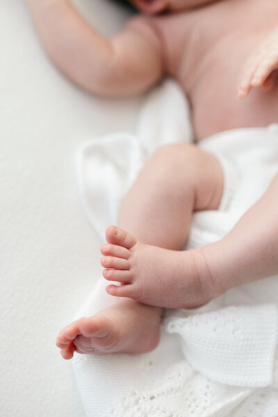 Little Palm Newborn Photography Northern California