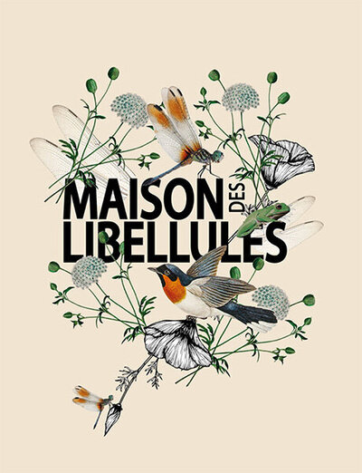 Illustration composée de coquelicots, de libellules et d'oiseau crée par le Studio Youmé, studio de creation graphique en Vendée.