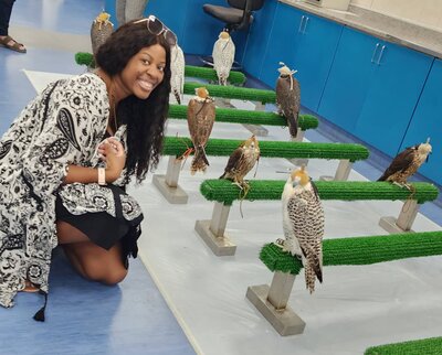Passports and Palms-Travel Co.-Abu Dhabi-Falcon Hospital