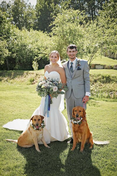 MT-Wedding-Dog-Photographer-009