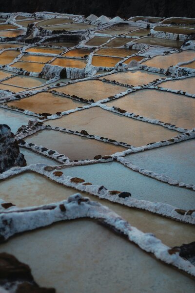 malena-ugaz-nLpABSmjMB4-unsplash