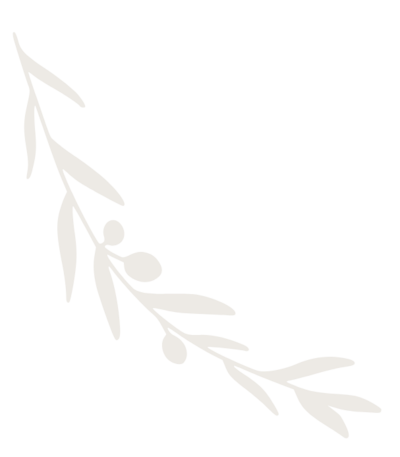 Olive Branch  decorative