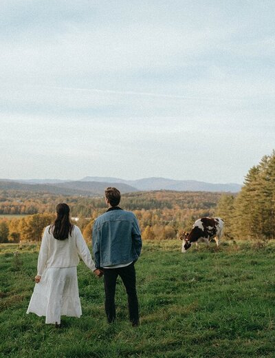 couple in field with cows during vermont engagement photos, captured by Elsie Goodman, an NYC and destination engagement photographer