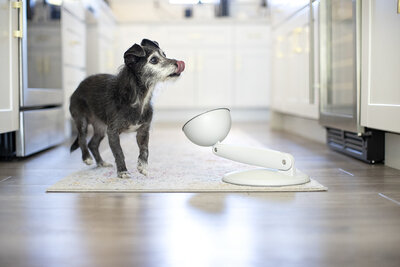 pet-product-photographer