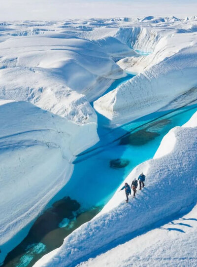 Antarctica-An-Avenue-Apart