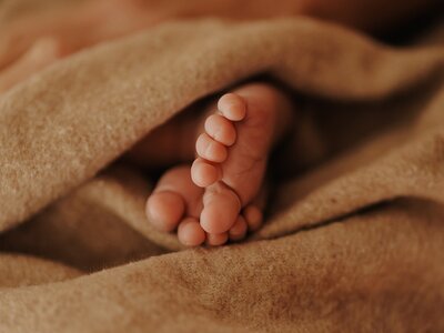 Feet of a newborn baby during a newborn photography session