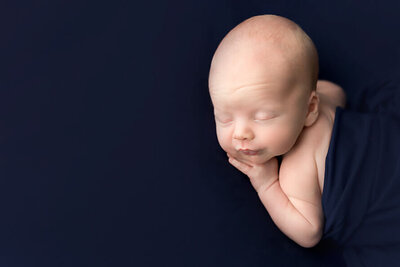 Newborn baby asleep on belly on a blue backdrop.