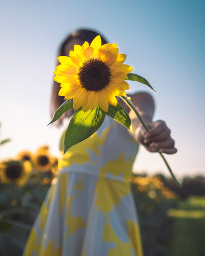 Erin-Donahue-Photography-Sunflower-Portrait