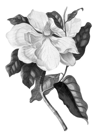 floral
