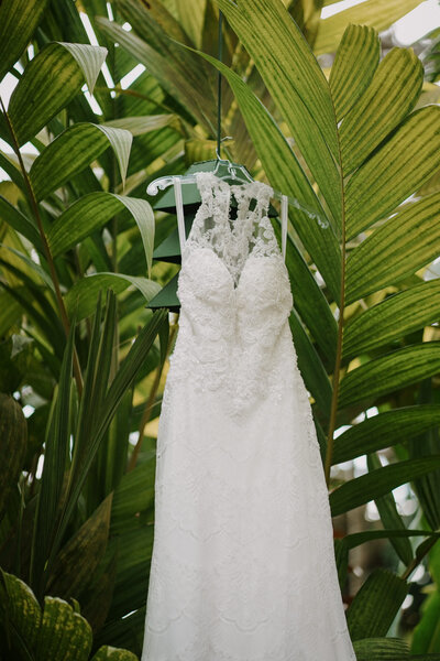 wedding dress hanging in front of leaves