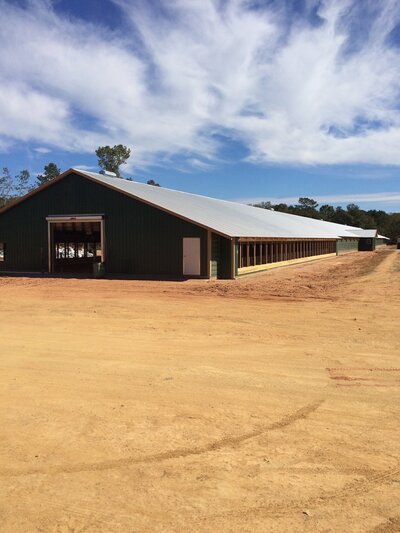 Green poultry house