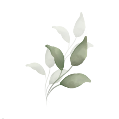 Ecokampaamo Loiste