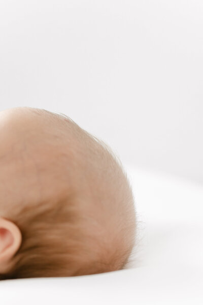 A closeup Washington DC Family PhotographerWashington DC Family Photographer photo of a newborn baby's hair