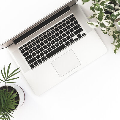 photo shows laptop with plants, illustrating portfolio link