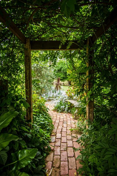 Garden Entrance with Brick Pathway under a Grapevine Arbor