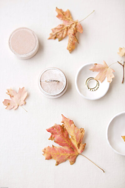 wedding-rings-details-engagement-joann-moritz-photography (1)