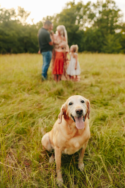 Brook Stanley Photography Family Storytelling Photographer