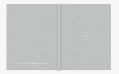 Gray album featuring rose gold debossing
