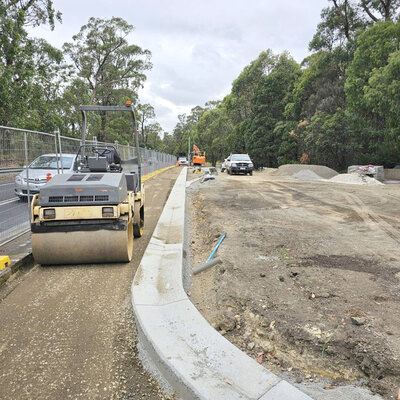 Personal trainers walking on street