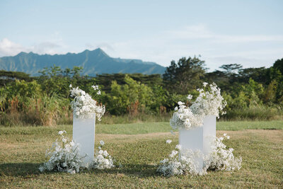 kauai-north-shore-1-hotel-wedding-hawaii-photographer-5656