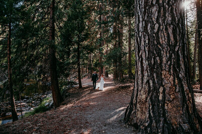 Bride and groom walk hand in hand along a forest trail surrounded by towering pine trees during their Lake Tahoe elopement.