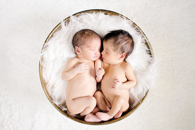 one week old newborn twin portraits