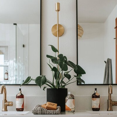 interior designer in Fort Collins, CO