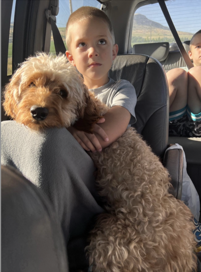 Screenshot 2024-08-27 at 1.40.27 PM