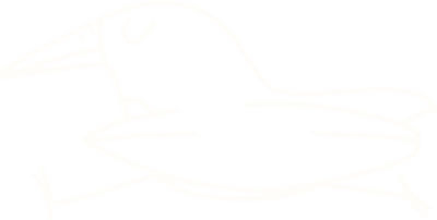 Outline of bird with surfboard