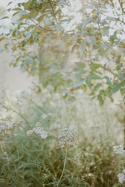 pexels-stockphotoartist-1198976 (1)