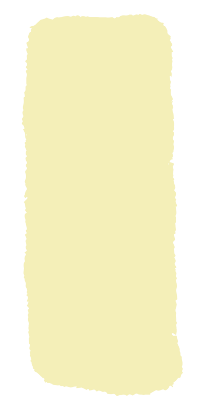 The Extraordinary Foundation brand element rectangle green