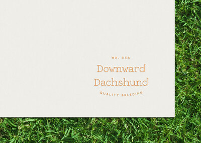 DD-logo-deboss-v3