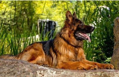 ME960d8566d88fb0dab391ab0f66998127