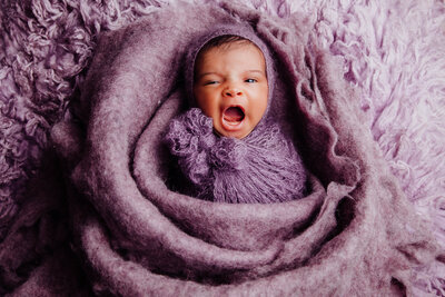 newborn photograph fargo, nd