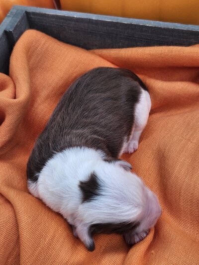 cf63b2a3-c1d7-4657-98e5-fca6f96365ce