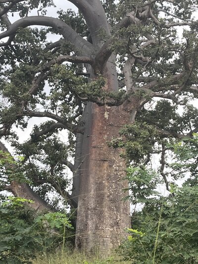 sao tome 4