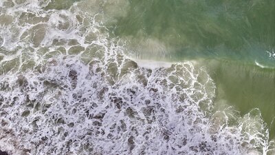 F6E0A542-9EED-46ED-8FFB-62633D6B5E2A_1_201_a